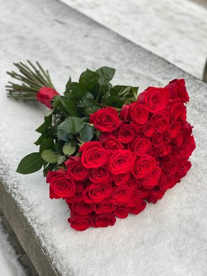 Червоні Голандські троянди 51 шт. 923371555 фото