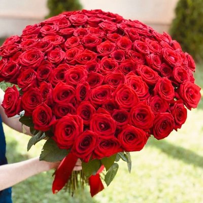 Букет червоної троянди 101шт, висота 60 см / Доставимо курєром по Львову та області 923371401 фото