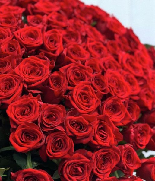 Букет червоної троянди 101шт, висота 60 см / Доставимо курєром по Львову та області 923371401 фото
