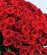 Букет червоної троянди 101шт, висота 60 см / Доставимо курєром по Львову та області 923371401 фото 3
