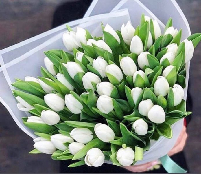 Букет білих тюльпанів 923371560 фото