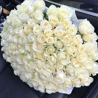 Букет білих троянд 101 шт, висота 60 см з доставкою курєром по Львову 923371404 фото