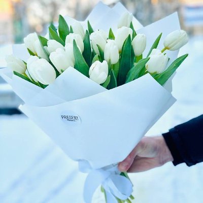 Букет білих тюльпанів , 25 штук 923371512 фото