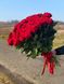 Букет червоних троянд, 51 шт / Курєрська доставка по Львову та області 923371542 фото 2