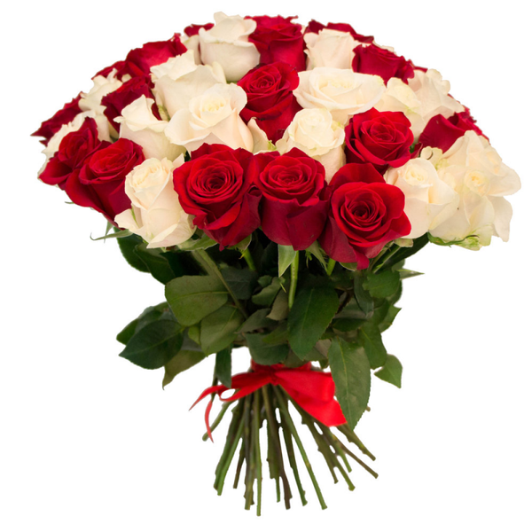 Букет роз бело красные, 51 шт. / Доставка курьером по Львову и области 923371472 фото