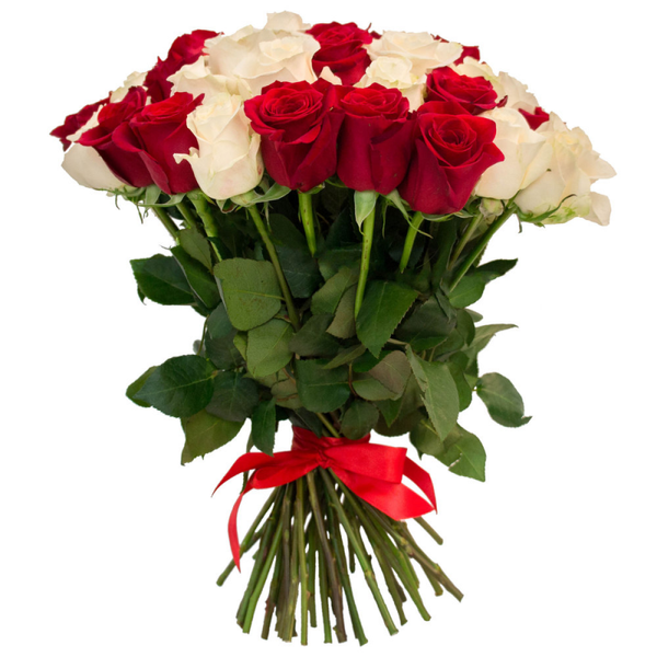 Букет троянд біло червоні, 51 шт / Доставка курєром по Львову та області 923371472 фото