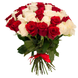 Букет роз бело красные, 51 шт. / Доставка курьером по Львову и области 923371472 фото 1