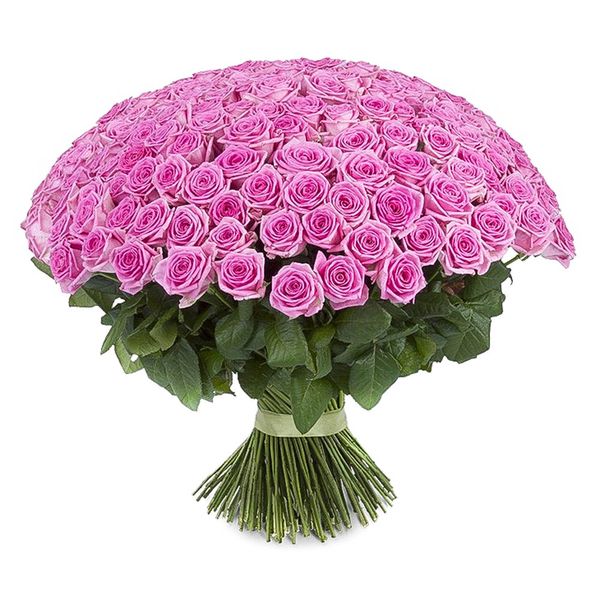 Букет розовых роз, 201 шт. / Доставка курьером по Львову и области 923371474 фото