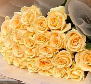 Букет троянд 19 шт, бежевого кольору / Доставка курєром по Львову та області 923371482 фото